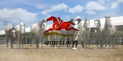 2020年中國馬術(shù)節(jié)全新LOGO設(shè)計正式官宣